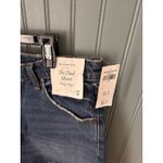 Abercrombie & Fitch  The Dad short‎ high rise  Denim  sz 34 18 PLUS Cut Off Boho Photo 1
