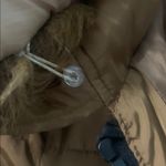 Brown Puffer Coat with Faux Fur Hood Size L Photo 5