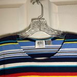 Jason Maxwell  Blue Multicolor Striped Short Sleeve Tee 1X Photo 2