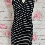 Ralph Lauren Lauren  black cream striped sheath dress size 12 Photo 0