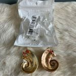 Conch Swirl Goldtone Pierced Earrings Gold Photo 4