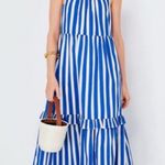 Tuckernuck Pomander Place by Blue Stripe Avondale Dress Small Photo 0