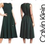 Calvin Klein Dark Green Midi Skirt Photo 1