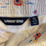 Lands' End Y2K  Novelty Print Beach Shorts 12 Photo 3