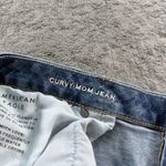 American Eagle  Outfitters Curvy Mom Jean Medium Wash Straight Leg 18 Regular Photo 4