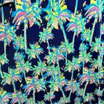 Lulu B UPF 50 Dress Women XL Quarter Sleeve Palm Tree Multicolor Preppy Beach Blue Photo 2