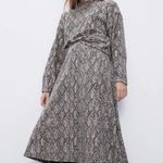 ZARA NWT  Animal Print Midi Skirt Photo 0