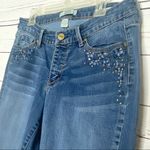 Vintage America Boho Skinny Jeans Size 6/ 28 Photo 4