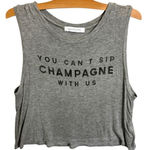 Daydreamer Free People  Cropped Tank Top Champagne Womens Sz M Grey Cropped‎ Boxy Photo 0