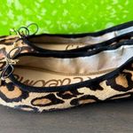 Sam Edelman Felicia Leopard Flat Size 7 Photo 2