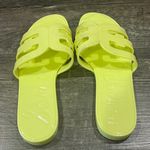 Sam Edelman Bay Jelly Slide-- Kiwi Photo 6