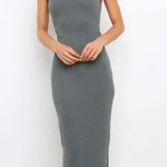 Petal and Pup Dress Photo 0