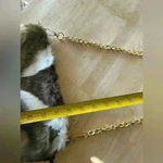 Cute small faux mink purse Photo 2