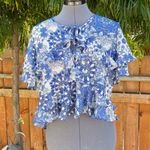 MISA Los Angeles Misa Blue Tiered Blouse size M Photo 6