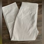 Hilary Radley Women’s Pull on Ankle Pants Size L Photo 7