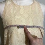 Everly NWT  Ivory Cream Sleeveless Lace Midi Dress Photo 5