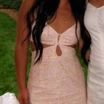 ZARA  Light Pink and White Cutout Dress Photo 0