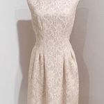J Howard Women's Blush Rose/Beige Metallic Sleeveless Lace Dress Size 10 Pink Photo 0