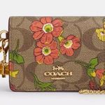 Coach NWOT  Removable key chain bag charm Butterfly In Orange/gold Photo 1
