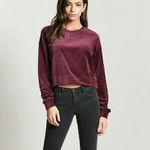 Forever 21 NWT Smooth Velvet Pullover Photo 0