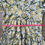 Tuckernuck  Pomander Place palmetto garden Kenzo dress floral XS Photo 10