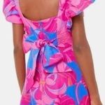 Tuckernuck X Cameran Eubanks Wimberly Wild Azalea Edisto Dress lonen mini ruffle Photo 1