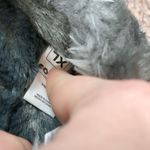 Nba  foco cavaliers women's slippers size XL Photo 4