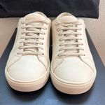 Saint Laurent Sneakers Andy Low Top Brooklyn Dark Coquille Casual Womans Sneaker Photo 1