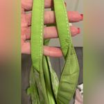 Belvah Quilted Fabric Tote and Cosmetic Bag Photo 8