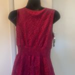 Ultra Pink Cottage Core fall leaf dress in cranberry size Small Photo 50