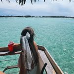 Pearl tulle bow veil White Size undefined Photo 2