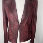 Charlie B Faux Leather Jacket Purple Size XS Photo 3