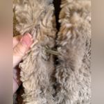 Dylan True grit by  Sherpa tan pullover size S Photo 4