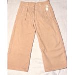 Citizens of Humanity  barrel leg ankle corduroys Light Pink Pleated High Rise Photo 2