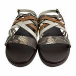 Cole Haan  Francie Slingback Flat Sandal Animal Print Size 6.5M Photo 5