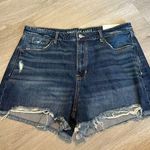 American Eagle  Tomgirl NWT Shorts Sz 16 Photo 0