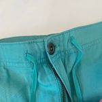 Patagonia Sea Foam Green/Blue Lightweight Crop Pants EUC Sz 14 Organic Cotton Photo 7