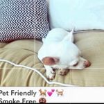 HYFVE light gray faux suede miniskirt lined Photo 8