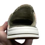 Clarks Women's 7.5 Breeze Shore Mule Olive Green Fern Leaves Photo 14