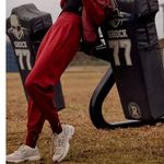 Free People #117 NWT Never Better Structured Sweatpants in Crimson Photo 2