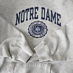 Champion Sweatshirt Vintage Jr XL Notre Dame Fighting Irish Hoodie Gray Academia Photo 5