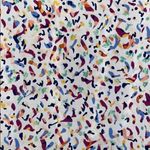 BCBGeneration ✨ Dewberry Multi Romper Photo 3