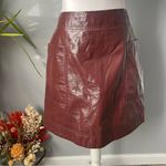 Anthropologie Maeve faux patent leather mini skirt Photo 2