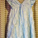 NWOT Thirty Thirty LA | Blue Babydoll Floral Open Back Dress, Size S Photo 0