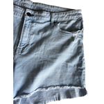A.N.A Brand, Color Light Blue Jeans, Size 20 W, High Rise Shorts Photo 3