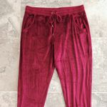 Michael Kors  Burgundy Plush Velvet Joggers Plus Size XXL NWT $88.00 Photo 4