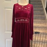 In Loom  velvet castlecore long sleeve maxi dress Photo 8