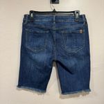 Special A  Size Large Denim Shorts Photo 1