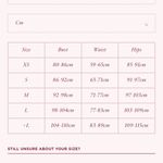 House Of CB NWOT  Clarice Shadow Floaty Layered Mini Skirt Photo 8