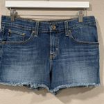 Big star  Joey Slouchy Fit Short Photo 0